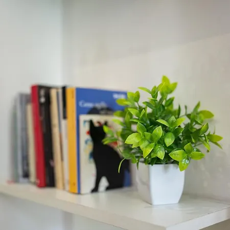 Apartment Aeroporto Milano-marpensa Loft A 12 Min & Self Chek-in